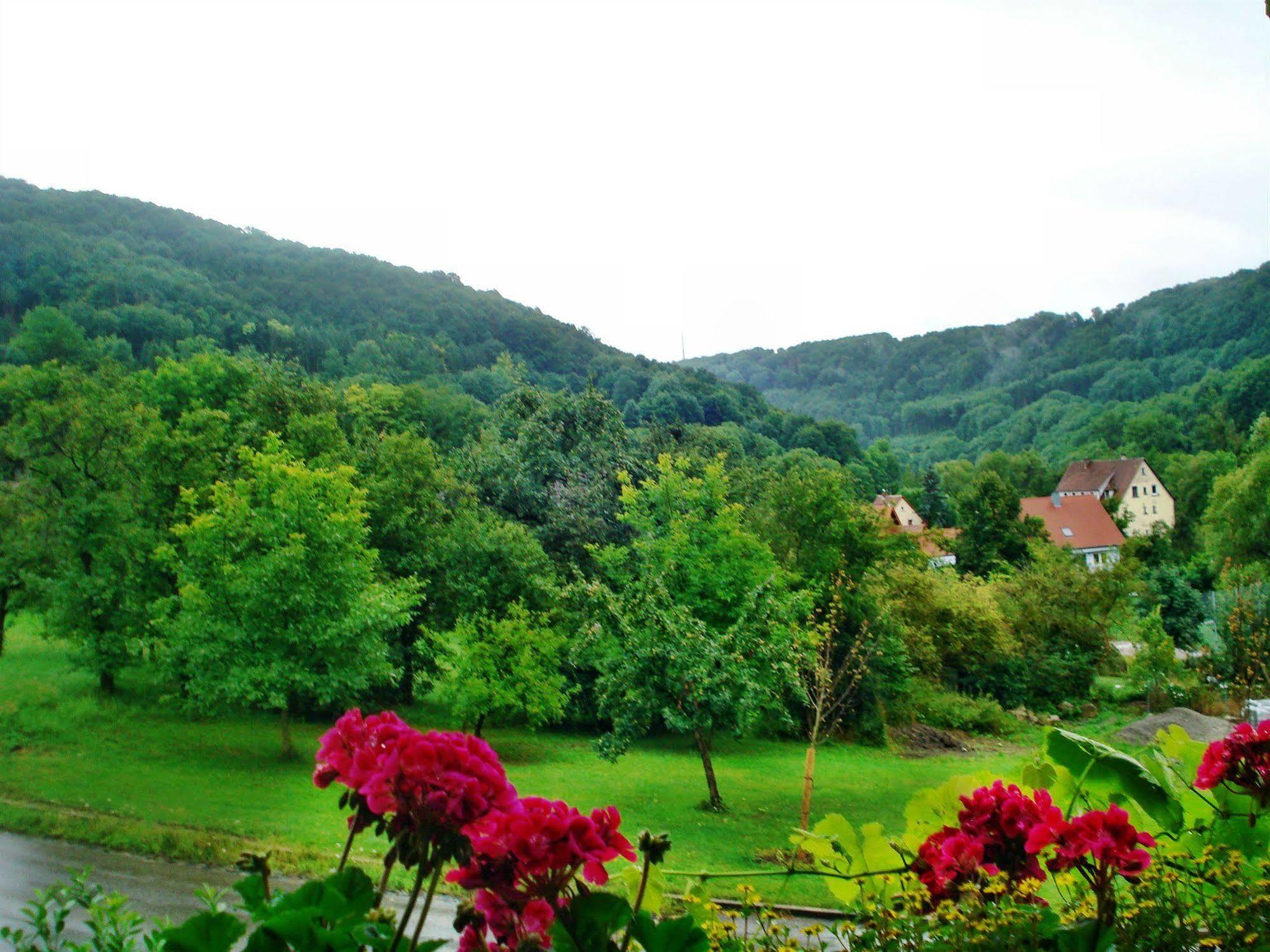 Akzent Hotel Goldener Ochsen Croeffelbach Bagian luar foto